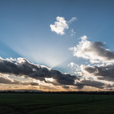 Evening rays