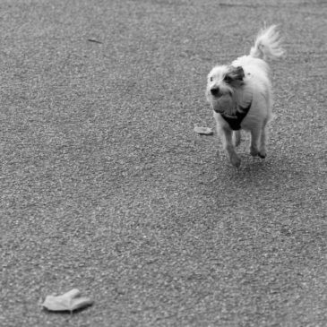 Mono Monday: Movement