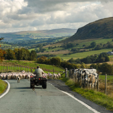 Snowdonia